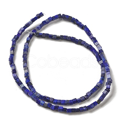 Natural Lapis Lazuli Dyed Beads Strands G-B064-A20-1