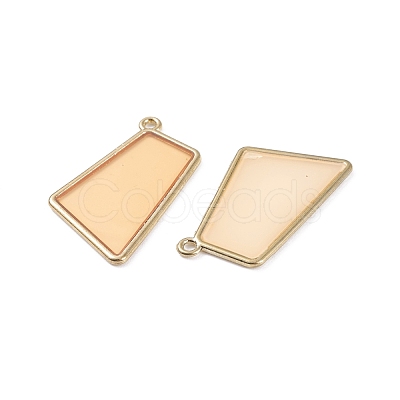 Epoxy Resin Pendants PALLOY-XCP0001-91-1