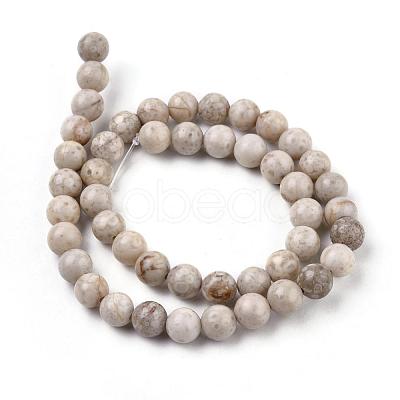 Natural Maifanite/Maifan Stone Beads Strands X-G-I187-8mm-01-1