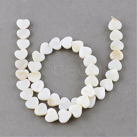Natural Sea Shell Beads Strands SSHEL-Q296-40-1