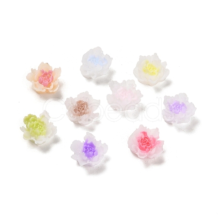 Luminous Resin Decoden Cabochons RESI-K036-06F-1