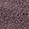 TOHO Round Seed Beads X-SEED-TR08-0151F-2