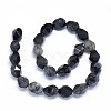 Natural Black Rutilated Quartz Beads Strands G-O173-076A-2
