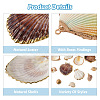 Craftdady 12Pcs 6 Style Shell Pendants DIY-CD0001-39-4
