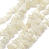 Natural White Moonstone Beads Strands G-P332-01-1