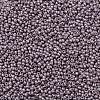 TOHO Round Seed Beads SEED-XTR11-0554F-2