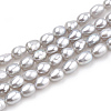 Natural Cultured Freshwater Pearl Beads Strands PEAR-S012-75A-1
