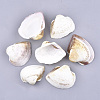Natural Trochid Shell/Trochus Shell Beads SSHEL-S258-44-1