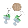 Dyed Natural Quartz Grapes Dangle Earrings EJEW-JE05690-03-3