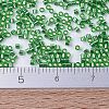 MIYUKI Delica Beads Small X-SEED-J020-DBS0046-4