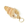 Natural Spiral Shell Pendants PALLOY-JF02793-01-5