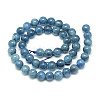 Natural Apatite Beads Strands X-G-S150-18-10mm-3