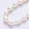 Natural Cultured Freshwater Pearl Beads Strands PEAR-S012-41C-4