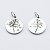 Eco-Friendly 316 Surgical Stainless Steel Micro Pave Cubic Zirconia Charms X-RB-I078-75P-NR-2