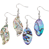 Beebeecraft 2 Pairs 2 Style Natural Abalone Shell/Paua Shell Dangle Earrings EJEW-BBC0001-23-1