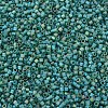 MIYUKI Delica Beads Small SEED-X0054-DBS0859-3