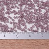MIYUKI Delica Beads Small SEED-X0054-DBS0728-4