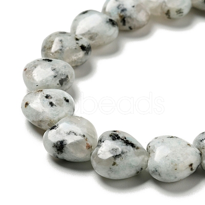 Natural Sesame Jasper/Kiwi Jasper Beads Strands G-B022-12B-1