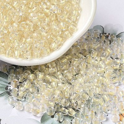 6/0 Transparent Colours Glass Seed Beads SEED-P006-01A-01-1