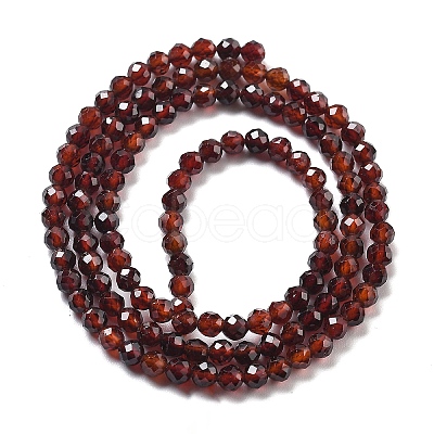 Natural Garnet Beads Strands G-H079-A01-03D-1