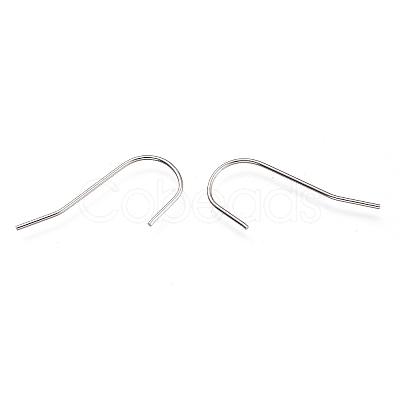 Tarnish Resistant 304 Stainless Steel Earring Hooks STAS-O137-26P-B-1