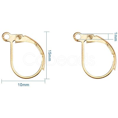 Brass Leverback Earring Findings KK-PH0026-22G-RS-1