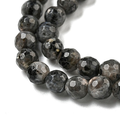 Natural Larvikite Beads Strands G-E571-A09-01-1