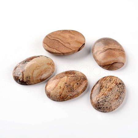 Oval Natural Picture Jasper Cabochons G-I171-30x40mm-11-1