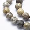 Natural Fossil Coral Beads Strands G-K256-11-10mm-3