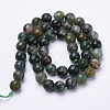 Natural Moss Agate Beads Strands G-S281-26-6mm-2