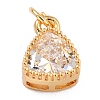 Real 18K Gold Plated Brass Inlaid Cubic Zirconia Charms ZIRC-L100-076G-07-2