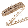 Polyester Hollow Lace Trim OCOR-WH0079-07-1