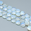 Opalite Beads Strands G-T066-19-1