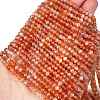 Natural Sunstone Beads Strands G-L597-B02-02-1