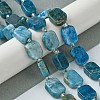 Natural Apatite Beads Strands G-C098-A09-01-2