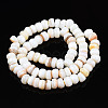 Natural Trochid Shell/Trochus Shell Beads Strands SHEL-S258-081-A01-2