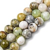 Natural Green Opal Beads Strands G-C029-02B-1