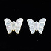 Natural White Shell Beads SSHEL-S258-104-2