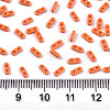 2-Hole Glass Seed Beads X-SEED-S031-S-SQ50-2