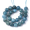Natural Apatite Beads Strands X-G-S345-4mm-008-2