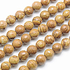 Natural Petrified Wood Beads Strands G-G542-14mm-06-2