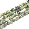 Natural Serpentine Beads Strands G-S314-17-1