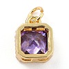 Real 18K Gold Plated Brass Inlaid Cubic Zirconia Charms ZIRC-L100-073G-05-3