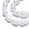 Natural Cultured Freshwater Pearl Beads Strands PEAR-N012-03K-3