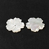 Natural White Shell Beads SHEL-M021-08A-3