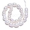 Natural Cultured Freshwater Pearl Beads Strands PEAR-N012-06L-2