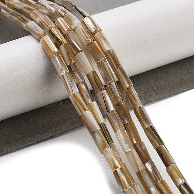 Natural Freshwater Shell Beads Strands BSHE-G038-02-1