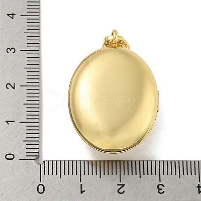 Brass Cubic Zirconia Locket Pendants KK-N254-93C-G-1