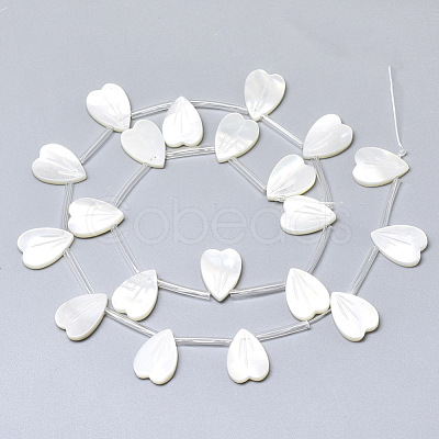 Natural White Shell Mother of Pearl Shell Charms SSHEL-N036-024-1