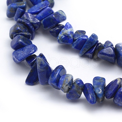 Natural Lapis Lazuli Beads Strands X-G-P332-50-1